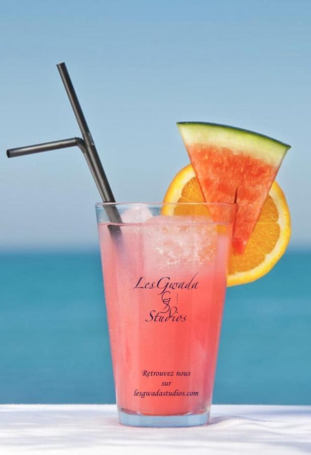 Vue Exclusive Mer Et Volcan, Village Vacances Avec Plage Et Piscine, Les Gwadastudios Sainte-Anne (Grande-Terre) Exterior foto
