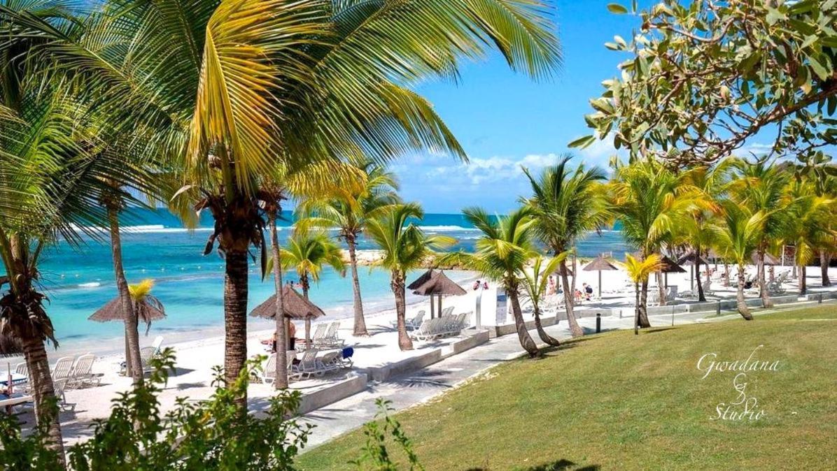 Vue Exclusive Mer Et Volcan, Village Vacances Avec Plage Et Piscine, Les Gwadastudios Sainte-Anne (Grande-Terre) Exterior foto