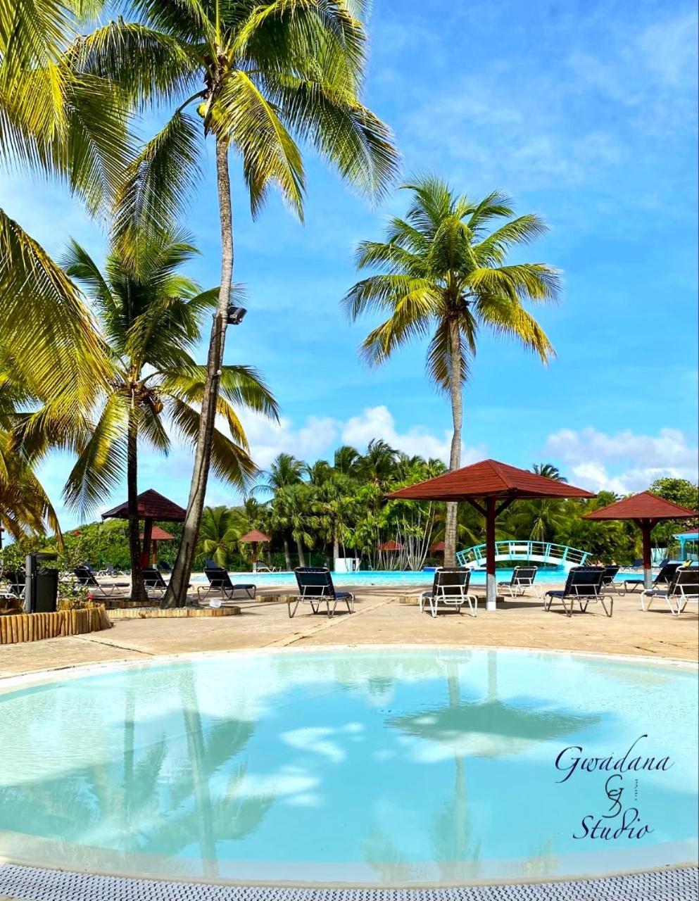 Vue Exclusive Mer Et Volcan, Village Vacances Avec Plage Et Piscine, Les Gwadastudios Sainte-Anne (Grande-Terre) Exterior foto